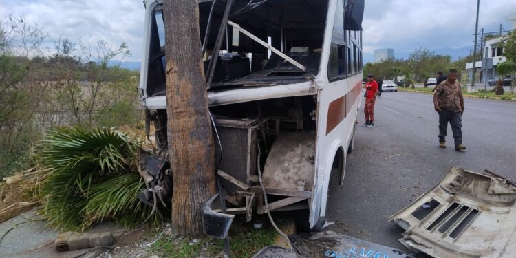 Microbús choca contra palmera; hay 15 lesionados