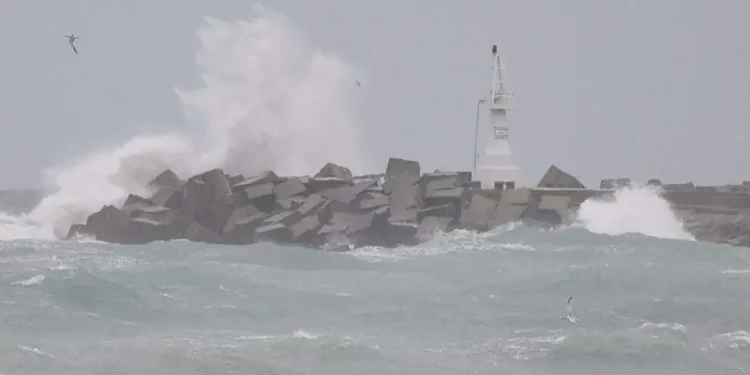 Peligro en Miramar: grandes olas amenazan a turistas