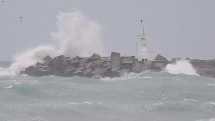 Peligro en Miramar: grandes olas amenazan a turistas