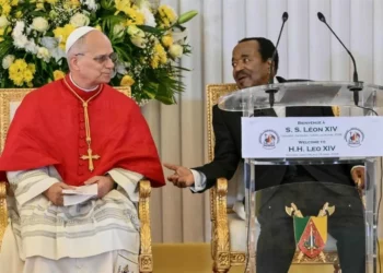 Papa advierte que intereses económicos amenazan paz mundial