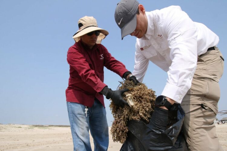 SEDUMA fortalece gestión de residuos y sargazo en costas de Tamaulipas
