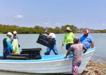 Cooperativas de Aldama optimizan cultivo de ostión para elevar su valor comercial