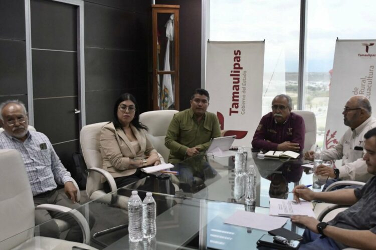 Tamaulipas estructura proyecto ejecutivo para elevar la producción de carne de calidad