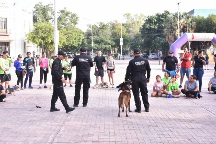 El Agrupamiento Canino de la Guardia Estatal de Tamaulipas reporta más de 3,000 acciones en un año