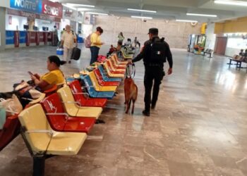 Guardia Estatal refuerza la seguridad en la Central de Autobuses de Ciudad Victoria