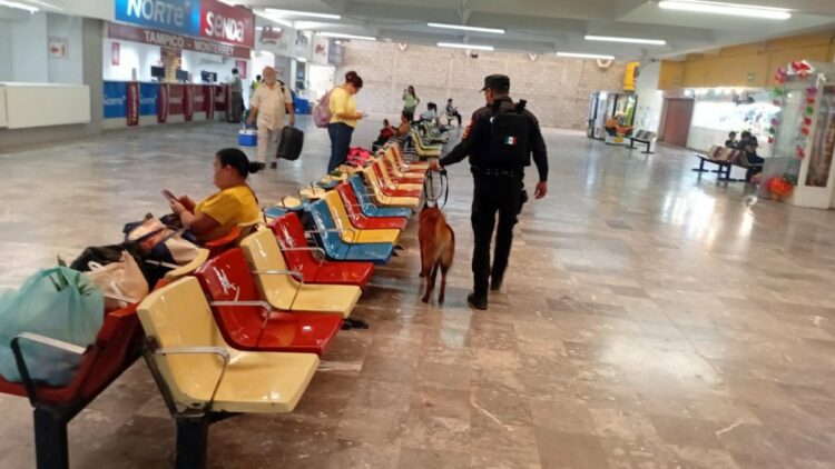Guardia Estatal refuerza la seguridad en la Central de Autobuses de Ciudad Victoria