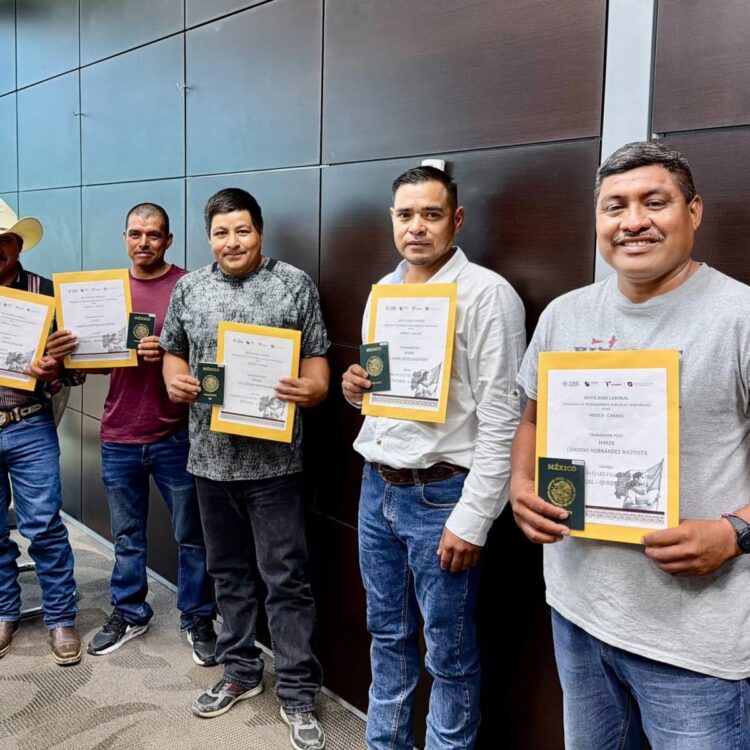 Empleo agrícola en Canadá: STPS Tamaulipas entrega documentación a trabajadores temporales