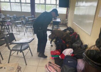 Con perros, vigilan escuelas en Matanoros