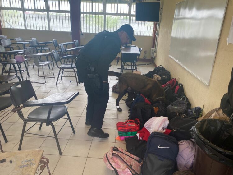 Con perros, vigilan escuelas en Matanoros