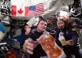 De la Nutella a las tortillas: Así es la dieta de los astronautas en la misión Artemis II