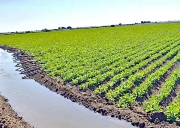 Avalan reforma para formalizar trabajadores del campo mexicano