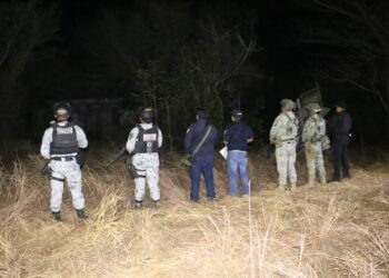 Cateo antidrogas en El Mante asegura presunta marihuana