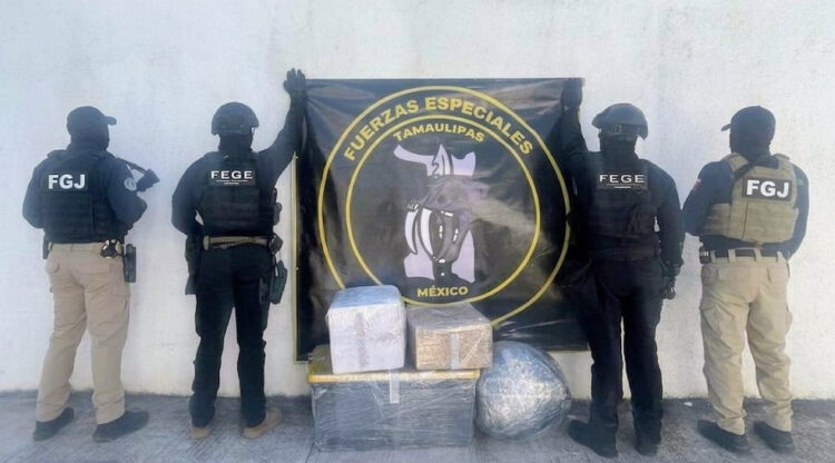 Aseguran drogas, inmueble y vehículo tras operativo en Victoria