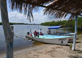 Estados Unidos acusa ilegalidad ambiental y presiona a México