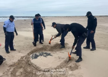 Contaminación por petróleo golpea costas de Tamaulipas
