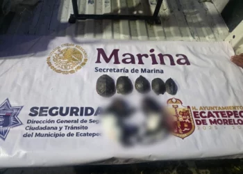 Detienen a hombre con restos de animales ¡para rituales!