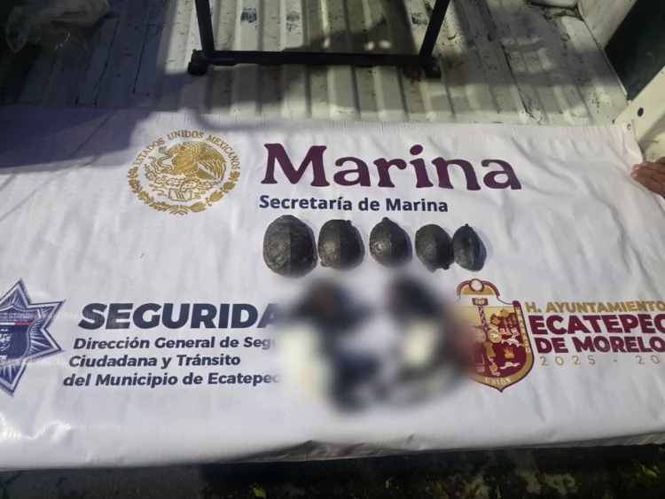 Detienen a hombre con restos de animales ¡para rituales!