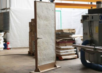 Puertas de hongo: la innovación que crece en 14 días y revoluciona la construcción sostenible