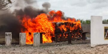 Reducen a cenizas droga y arsenal criminal incautado