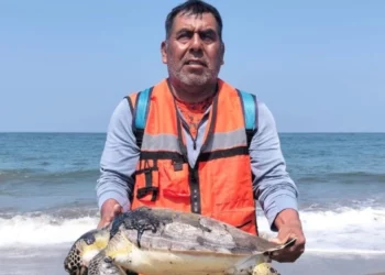 Juez ordena frenar desastre por petróleo en Veracruz y Tabasco