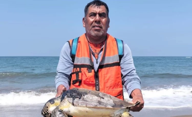 Juez ordena frenar desastre por petróleo en Veracruz y Tabasco