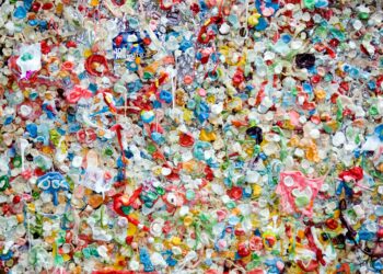 Microplásticos: la amenaza invisible en el cuerpo humano