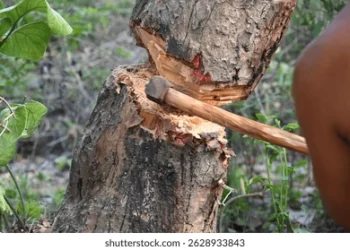 Muere hombre por caída de árbol en Tula