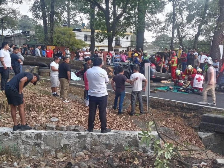 Granizada provoca tragedia: árbol mata a tres conductores
