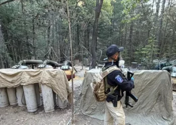 Mueren agentes de EEUU tras operativo antidrogas en Chihuahua