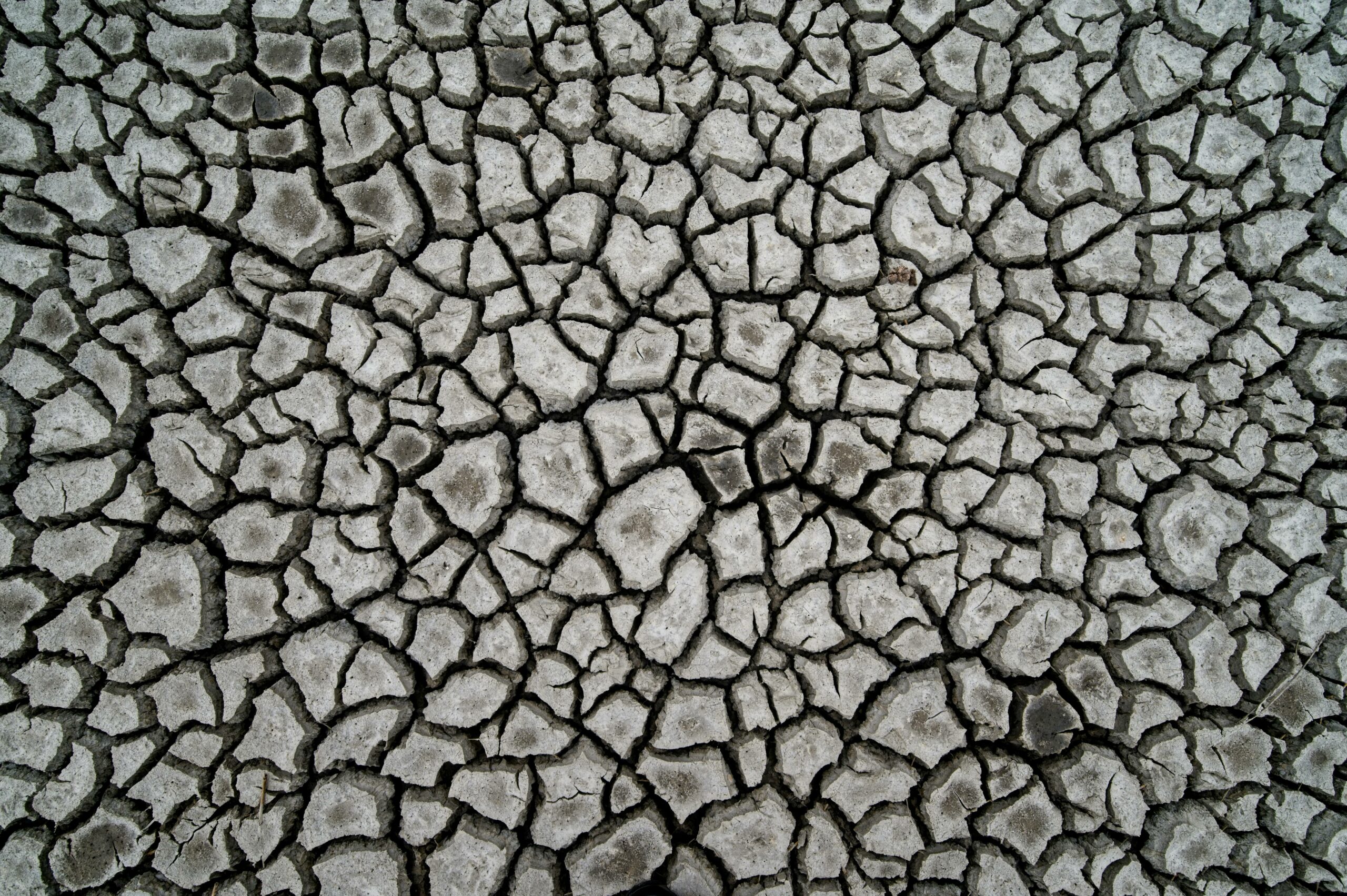 El cambio climático impulsa la aparición de superbacterias: la falta de agua es el nuevo factor de riesgo