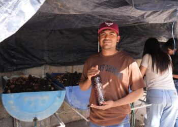 La UAT desarrolla biofertilizantes líquidos mediante procesos de lombricomposta