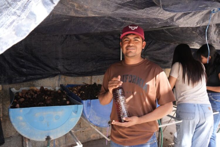 La UAT desarrolla biofertilizantes líquidos mediante procesos de lombricomposta