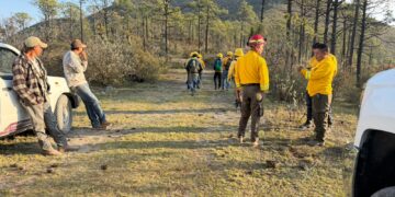 Incendio forestal en Miquihuana registra 60% control