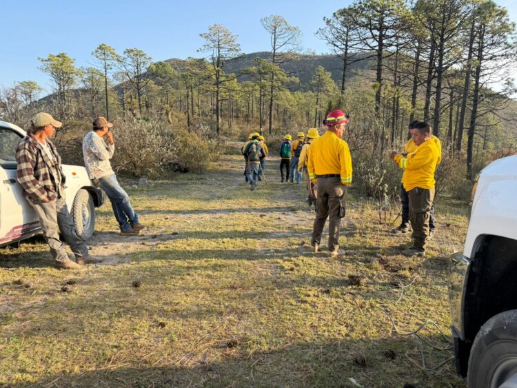 Incendio forestal en Miquihuana registra 60% control