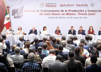 Crean Sistema de Ordenamiento de Producción y Comercialización del maíz blanco “Precio Justo”