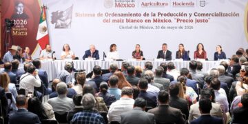 Crean Sistema de Ordenamiento de Producción y Comercialización del maíz blanco “Precio Justo”