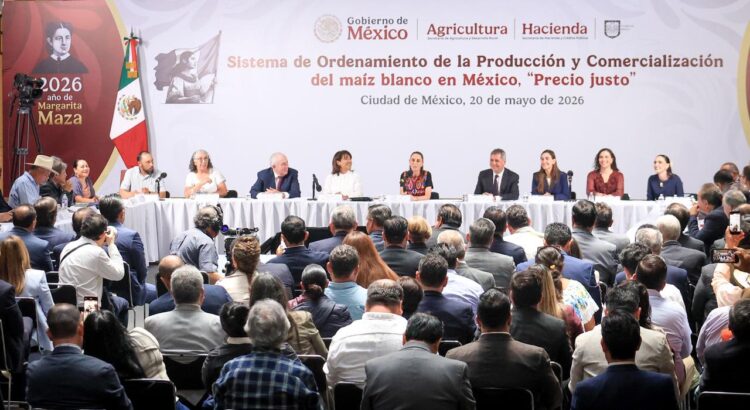 Crean Sistema de Ordenamiento de Producción y Comercialización del maíz blanco “Precio Justo”