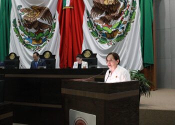 Diputados plantean sanciones por tirar basura en vía pública de Tamaulipas