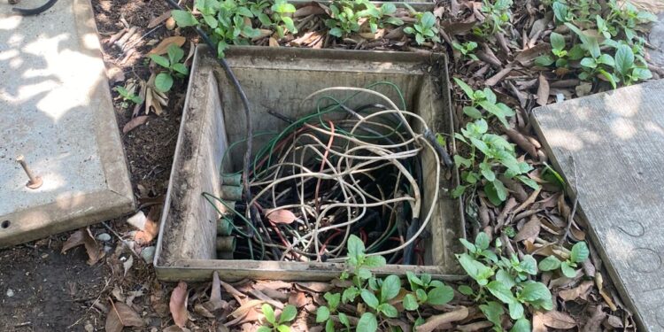 Saquean y vandalizan instalaciones de Cruz Roja Tamaulipas