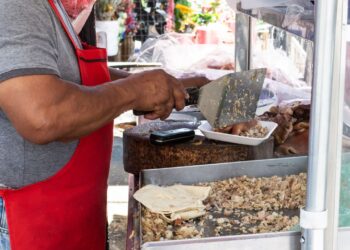 Llama Secretaría de Salud a prevenir enfermedades diarreicas ante ola de calor