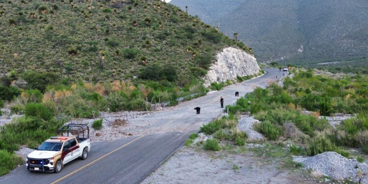 Lluvias provocan deslaves y riesgos carreteros en Tamaulipas