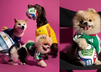 Adidas lanza colección oficial de jerseys para mascotas del Mundial 2026