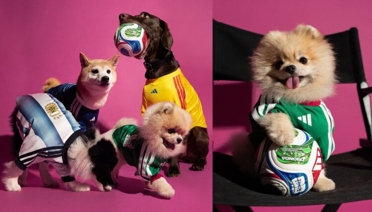 Adidas lanza colección oficial de jerseys para mascotas del Mundial 2026