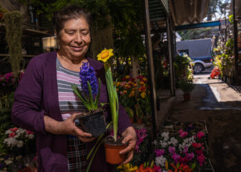 Regalar flores a mamá, más que un gesto de cariño; respaldas al campo