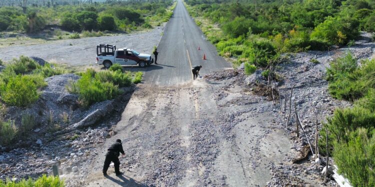 Lluvias provocan deslaves y riesgos carreteros en Tamaulipas
