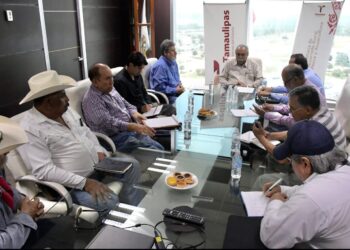 Colegios de Agrónomos y SADER analizan alternativas de nuevos cultivos en Tamaulipas
