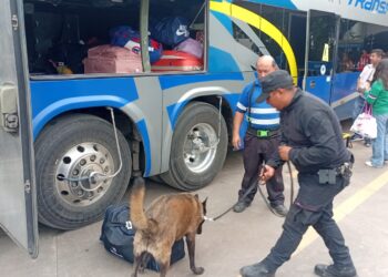 Guardia Estatal vigila con perros la Central de Autobuses