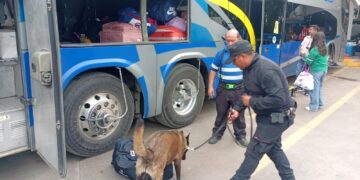 Guardia Estatal vigila con perros la Central de Autobuses