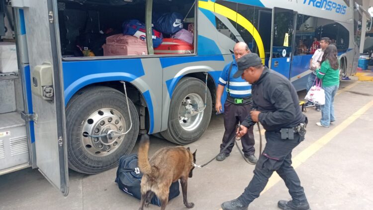 Guardia Estatal vigila con perros la Central de Autobuses