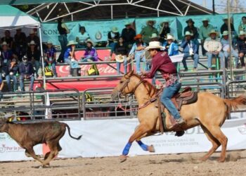 Cosecha dorada: Tamaulipas gana cuatro campeonatos en la Olimpiada Nacional